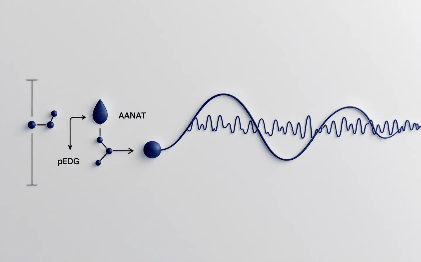 Why Epitalon, epithalon, and epitalon peptide name one substance